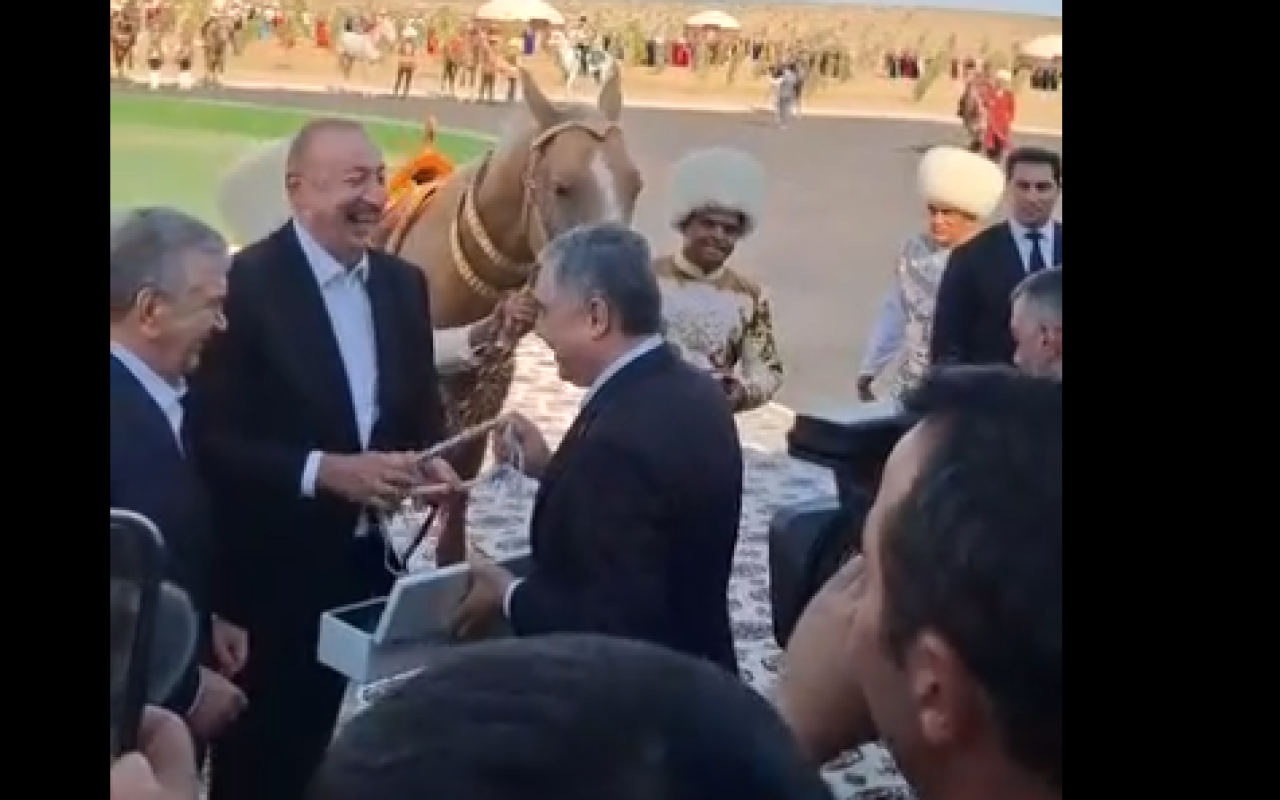 İlham Əliyevə “Axaltəkə” atıhədiyyə edildi - VİDEO